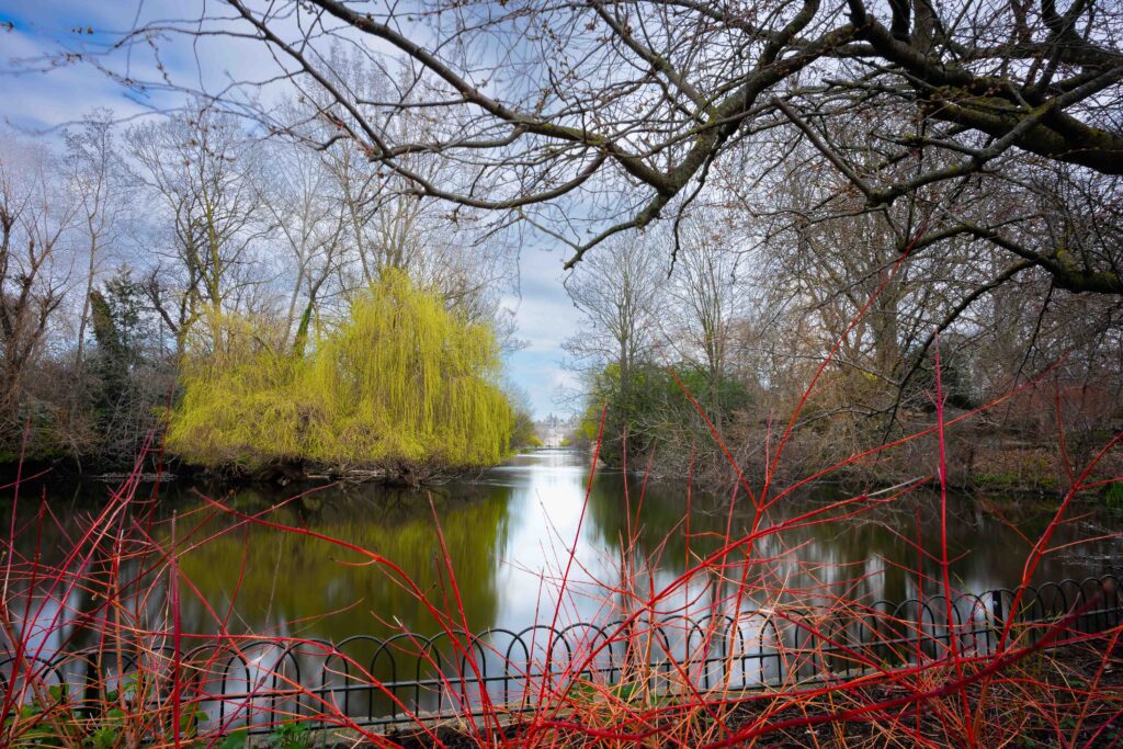 St. James Park. London. Sony 1.4 24mm.